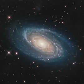 m81