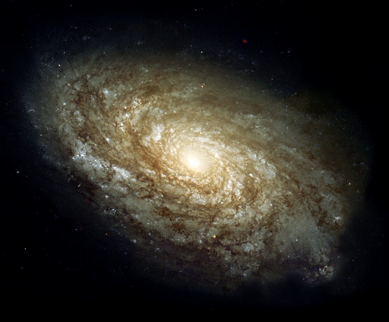 Loading Image