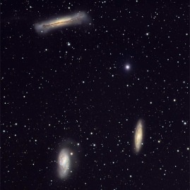 trio_leo