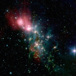 ngc1333